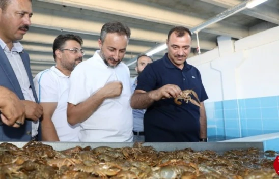 Elazığ'dan Dünya Pazarına Kerevit, Kilosu 100 TL