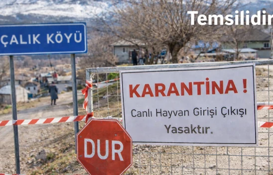 Elazığ Keban'da Şap Alarmı: 6 Köy Karantinada