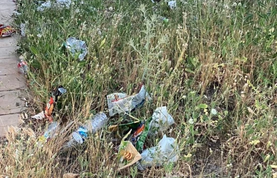 Elazığ Yemişlik TOKİ'de Tepki Çeken Aidat: Temizlik Yok, İlgi Yok Ama 1000 TL Aidat Var!