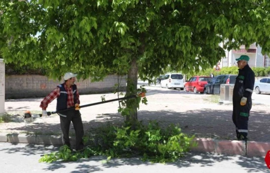 Elazığ, yeşil bir yaz mevsimine hazırlanıyor