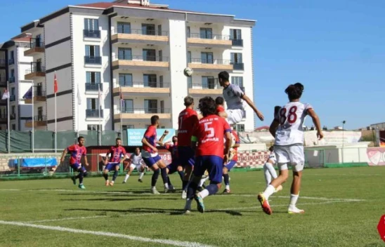 Elazığspor ve Elazığ Karakoçan PFDK'ya sevk edildi