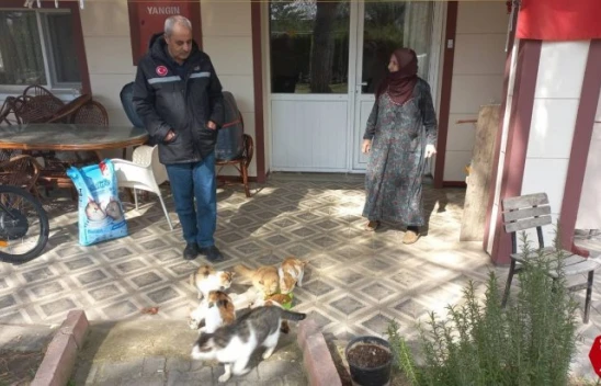 Keban'da Evinin Bahçesinde 30 Kediye Bakan Zahide Nineye İl Özel İdare Ekiplerinden Mama Desteği