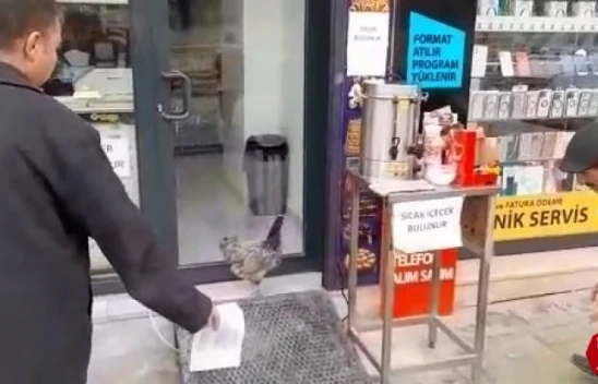Kaçak Tavuk Operasyonu, Güldürdü