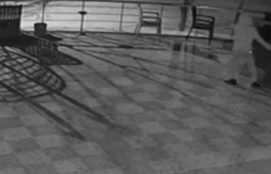 Elazığ'da Duyarlı Vatandaşın Örnek Davranışı Güvenlik Kameralarına Yansıdı