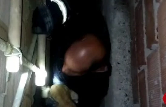 Havalandırma boşluğuna düşen kediyi itfaiye kurtardı
