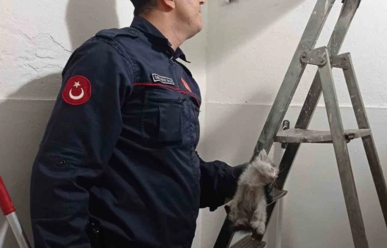 Havalandırma boşluğuna düşen kediyi itfaiye kurtardı