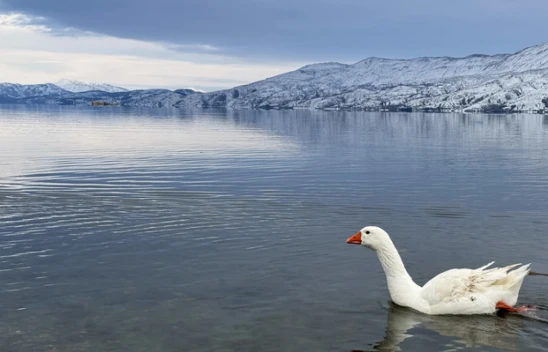 Hazarbaba Dağı İlkbaharda Beyaza Büründü