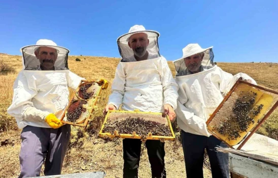 İklim Değişikliği Ve Sıcaklık Son 3 Yılda Bal Rekoltesini Yüzde 100 Düşürdü