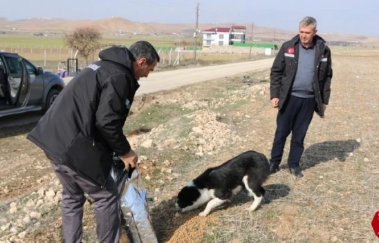 İl Özel İdaresi sokak hayvanlarını unutmadı