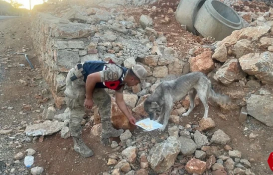 Jandarma'dan 4 Ekim Dünya Hayvanları Koruma Günü etkinliği