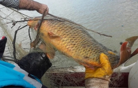 Kaçak Avda Kullanılan Bin Metre Ağ İle 400 Kilo Balık Ele Geçirildi