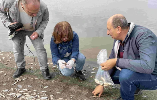 Keban Baraj Gölündeki Balık Ölümleriyle İlgili İnceleme Başlatıldı