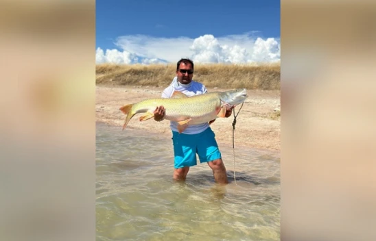 Keban'da 39 kiloluk dev Fırat turnası yakalandı