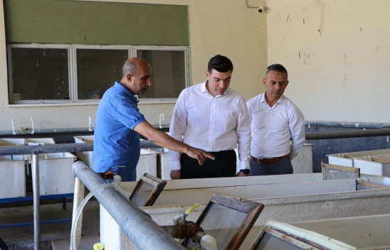 Keban Kaymakamı Atalık, Keban Balıkçılık ve Su Ürünleri Üretim Tesislerini ziyaret etti