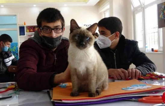 Kedi Helva Özel Öğrencilerin ve Okulun Maskotu Oldu