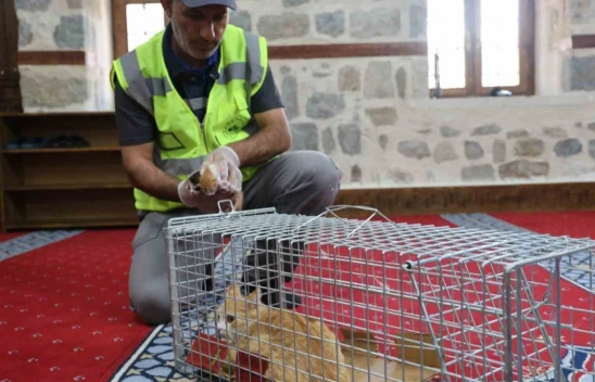İmam Camiye Girdiğinde Karşılaştığı Manzara Karşısında Şaşırdı !