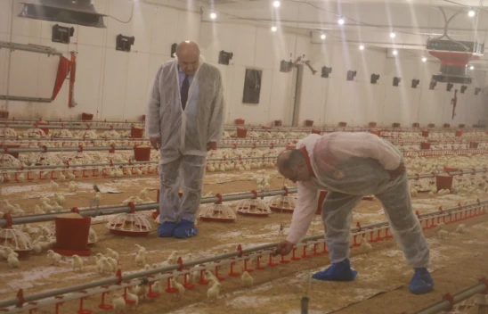 KKYDP Desteğiyle Elazığ'da Kanatlı Üretimi İki Katına Çıktı