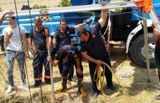 Baskil'de Kuyuya Düşen İnek, Bakın Nasıl Kurtarıldı