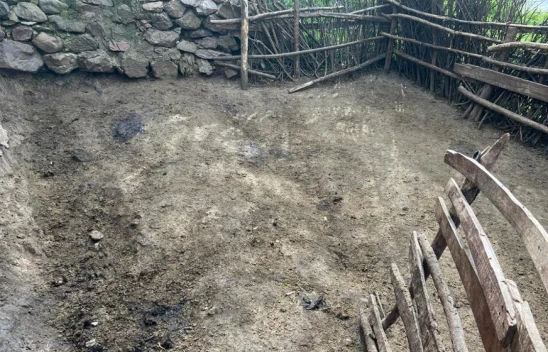 Maden'de Ağıla Giren Kurtlar 21 Koyunu Telef Etti