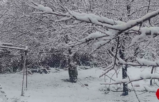 Mart Ayında Elazığ'a Lapa Lapa Kar Yağdı