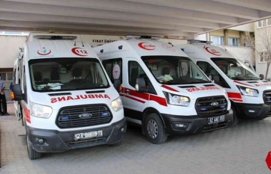 Karakoçan'da Mezarlığa Çiçek Ekme Konusu Silahlı Kavgaya Dönüştü, Kuzenler Birbirini Vurdu