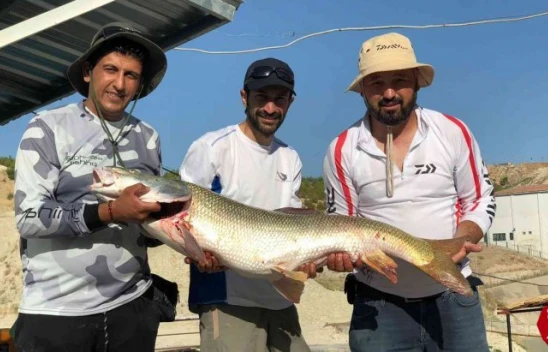 Keban'da Oltayla 26 Kiloluk Dev Turna Balığı Yakaladılar