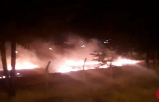 Otluk alanda yangın paniği