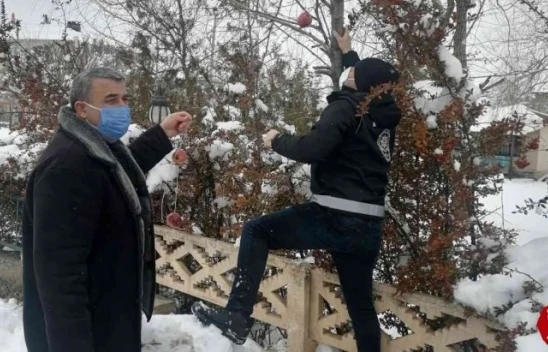 Polis yaban ve sokak hayvanları unutmadı