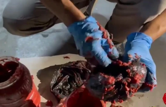 Salça Bidonu İçinde Uyuşturucu Sevkiyatı, Nina'dan Kaçmadı 2 Gözaltı