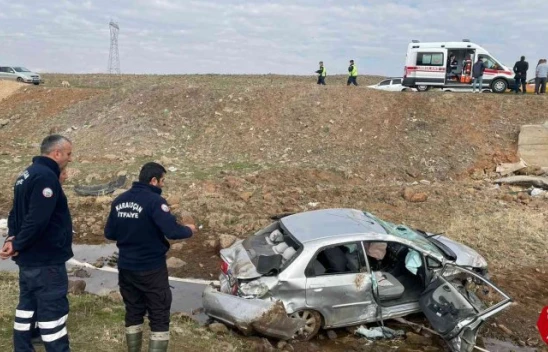 Karakoçan'da Şarampole Yuvarlanan Otomobil Hurdaya Döndü, 2 Yaralı