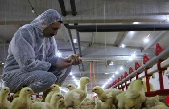 Elazığ'da Şehir Hayatından Sıkıldı, Devletten Aldığı Destek İle Köye Dönüp Çiftlik Kurdu