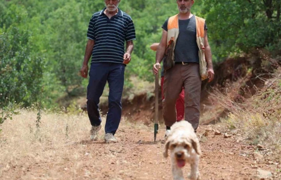 Köpeğiyle kara elmas arıyor Kavak'ın şimdiki durağı Elazığ oldu