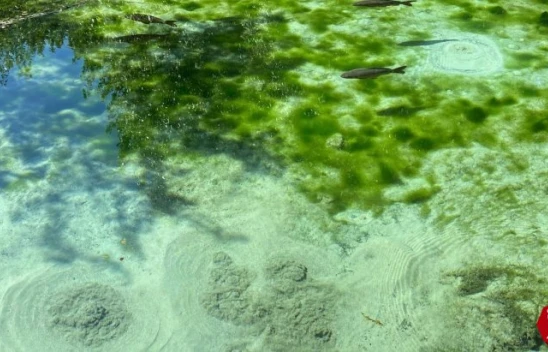 Elazığ'da Gizemli Dipsiz Göl, Görenleri Hem Şaşırtıyor Hem De Büyülüyor