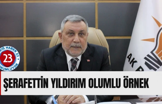 Şerafettin Yıldırım Olumlu Örnek