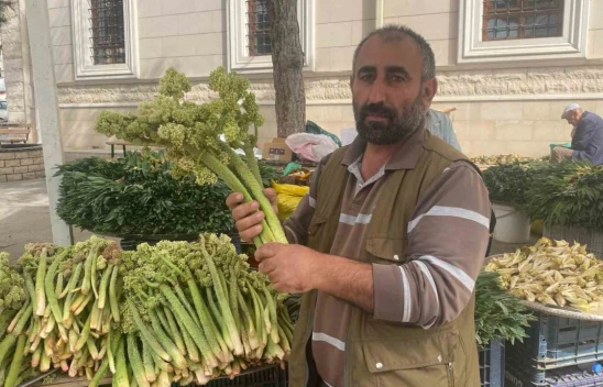 Elazığ'da Baharın Habercisi Işkın Tezgahlarda! Şifa Deposu Bitki Kilosu 150 TL'den Satılıyor
