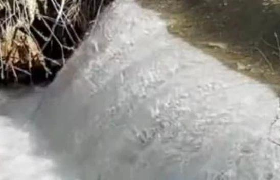 Elazığ'da Siraz Balıklarının Yumurtlama Yolculuğu Başladı: Görsel Şölene Dönüştü