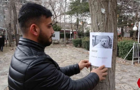 Kaybolan Köpeğini Bulmak İçin Elazığ Sokaklarını Geziyor