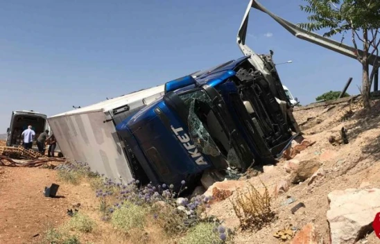 Elazığ'da Tavuk Yüklü Tır Şarampole Devrildi, 1 Yaralı
