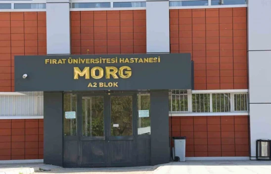 Sivrice'de Trenin altında kalan şahıs hayatını kaybetti