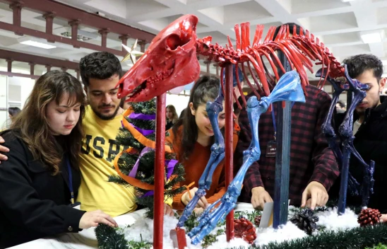 Topladıkları Hayvan Kemiklerini Anatomi Dersi İçin İskelete Dönüştürdüler