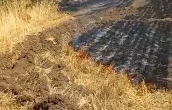 Trafodan çıkan kıvılcım otluk alanı tutuşturdu