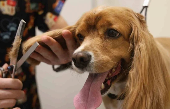 Bölgede Sadece Elazığ'da Var