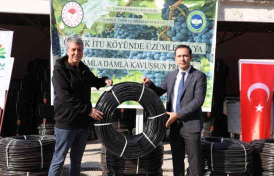 Üzümler Suya Damla Damla Kavuşuyor! Elazığ'da Verimli Üretim Dönemi Başladı