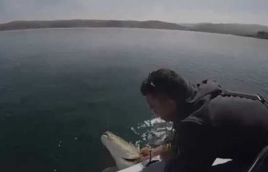 Yakaladığı 40 kiloluk dev Fırat turnasını popülasyonu korumak için tekrar suya bıraktı