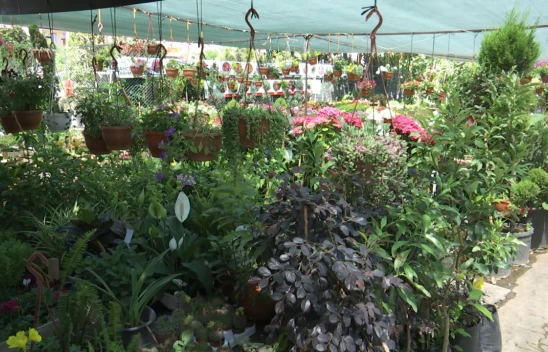 Yazla Birlikte Balkon ve Bahçelere Renk Geldi: Elazığlılar Peyzaj Düzenlemelerine Yoğun İlgi Gösteriyor