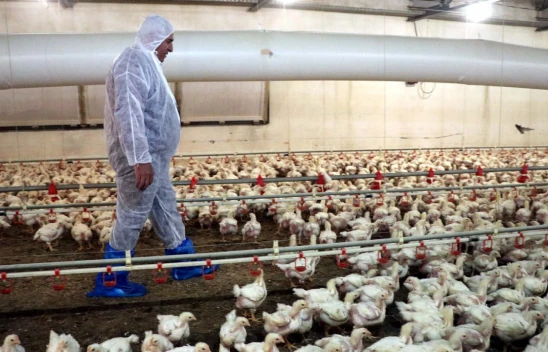 Yıllarca Gurbette Çalıştı, Şimdi Köyüne Gelip Yatırımda Bulunarak Örnek Oldu !