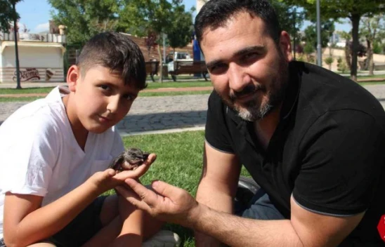 Yolda Buldukları Yaralı Ebabil Kuşunu Tedavi Edip HAYDİ Ekiplerine Teslim Ettiler