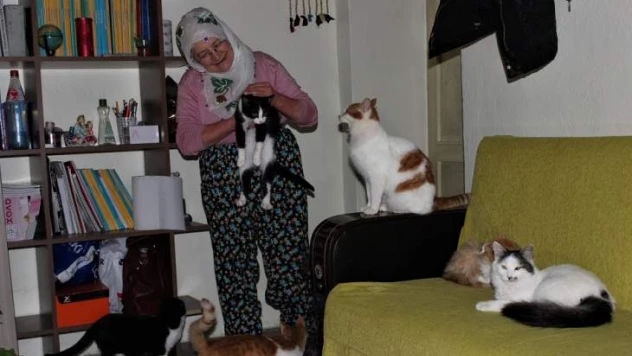 Nuriye Teyze Kış Nedeniyle 58 Kediye Evinde Bakıyor