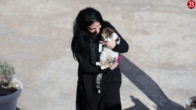 2.500 Kilometrelik Sevgi Yolculuğu: Romanyalı Kadın Elazığ'daki Kedi İçin Geri Döndü