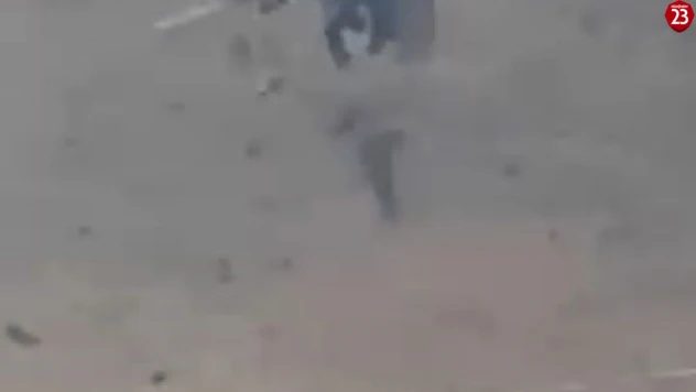 Elazığ'da Doğanın Sert Yüzü: Örümcek Ağına Düşen Arının Kurtuluş Mücadelesi Kamerada!